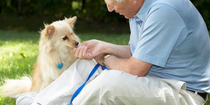 葡萄糖胺及軟骨素介紹