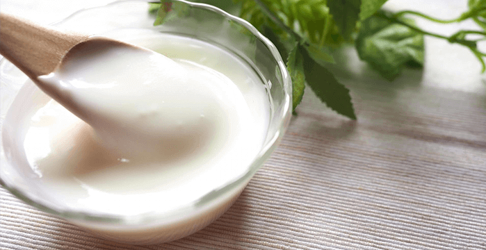 TFDA 食品認證,新增 8 項乳酸菌認證項目