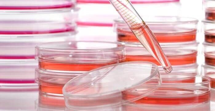 生物相容性試驗介紹