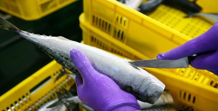 海鮮水產品該驗什麼?