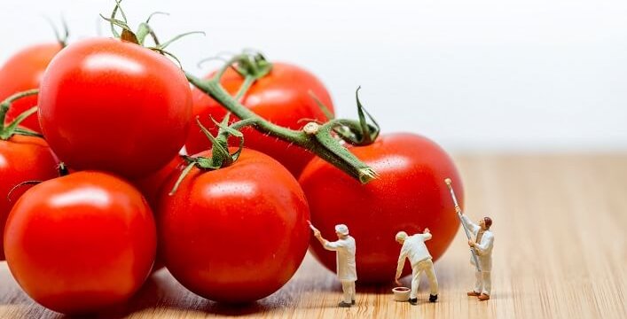 食品中微生物衛生標準草案