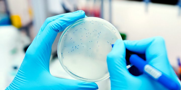 腸桿菌科之檢驗、採樣計畫及限量標準