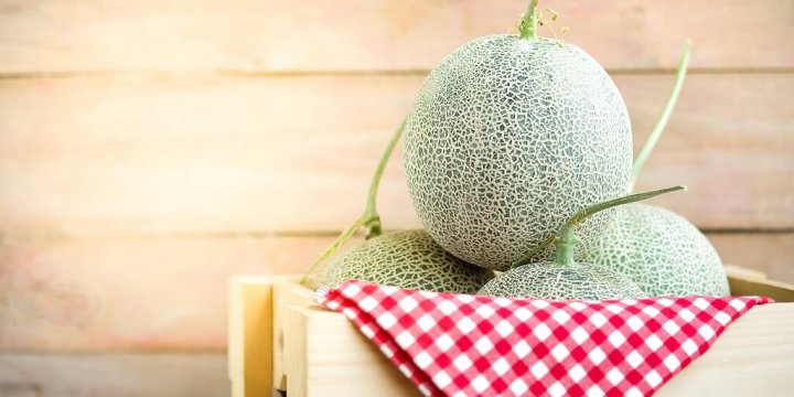 李斯特菌食品汙染和食品廠微生物管理