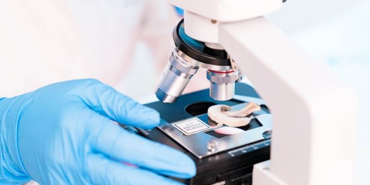 食品微生物危害風險的評估、管理及溝通