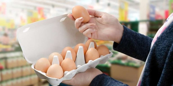 從芬普尼蛋看食安管理