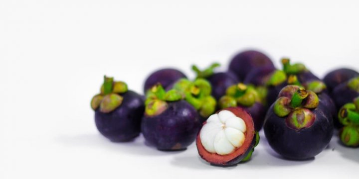 進口山竹檢驗項目