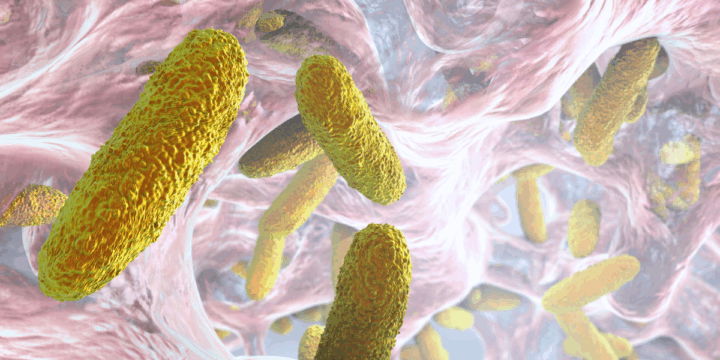 食品中腸桿菌科檢測與能力試驗：法規依據、檢測技術及實務挑戰