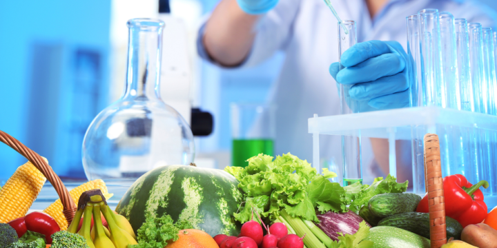 2026 健康食品的開發與品管工程師學程